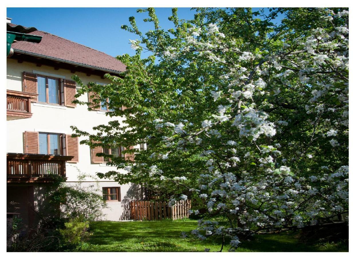 Apartments Himmelreich Ternitz Eksteriør billede